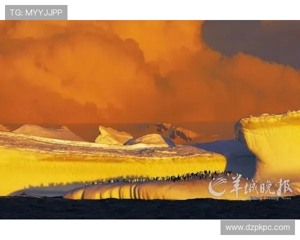 真人网上赌场如何选择正规平台，避免资金安全风险