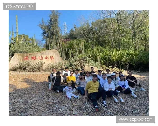 鼎丰国际娱乐专业的技术团队不断优化平台性能，提供流畅稳定的游戏体验